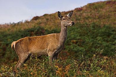 《使命召唤19》新视频展示PC版有500+可调选项